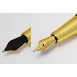 Caran d'Ache Hongkong Limited Edition Füllhalter Patronenfüller 18K M Feder Box