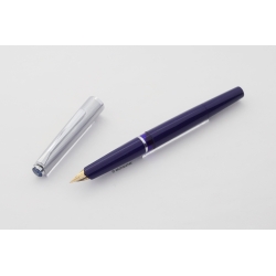Pelikan M 20 Silvexa Saphirblau Kolbenfüller seltene 14C EEF Goldfeder Vintage