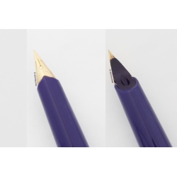 Pelikan M 20 Silvexa Saphirblau Kolbenfüller seltene 14C EEF Goldfeder Vintage