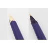 Pelikan M 20 Silvexa Saphirblau Kolbenfüller seltene 14C EEF Goldfeder Vintage