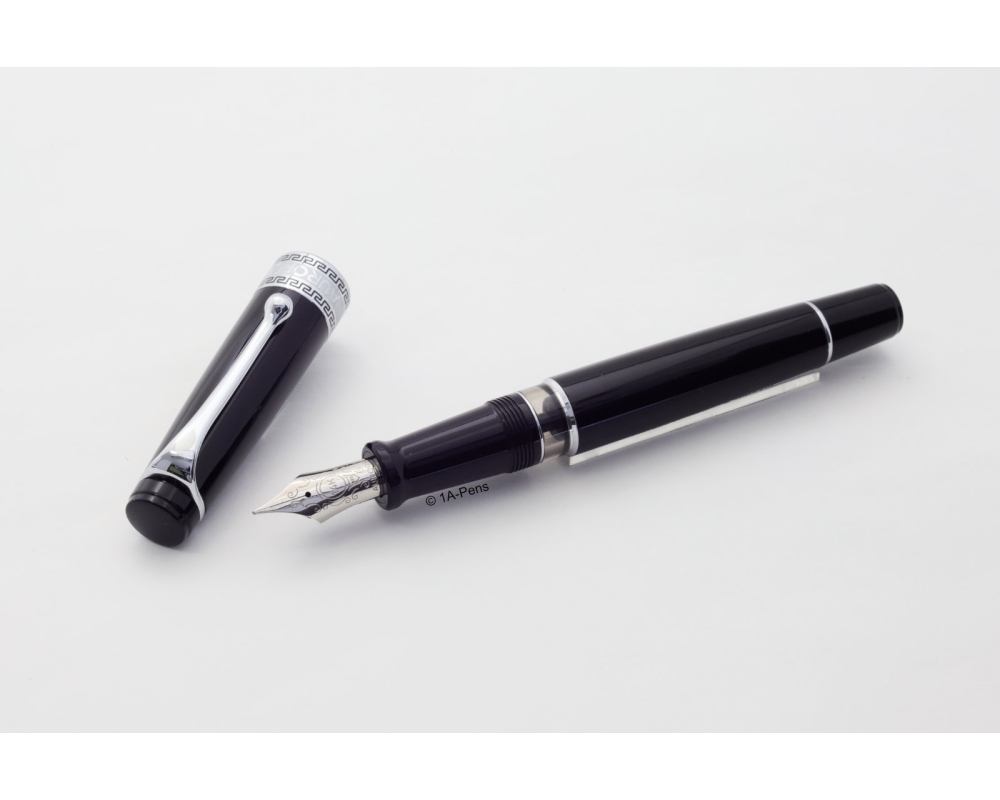 Aurora Optima Resin Piston-filler Black 14K F Gold-nib