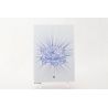 Montblanc Goethe Wirters Edition Fine Stationary Notebook 146 NEW
